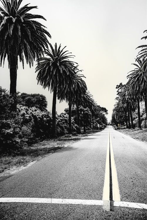 Direction par Alexandre de Rougemont Photographe - Galerie d'art Patrick Gutknecht