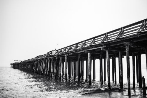 Le Ponton par Alexandre de Rougemont Photographe - Galerie d'art Patrick Gutknecht