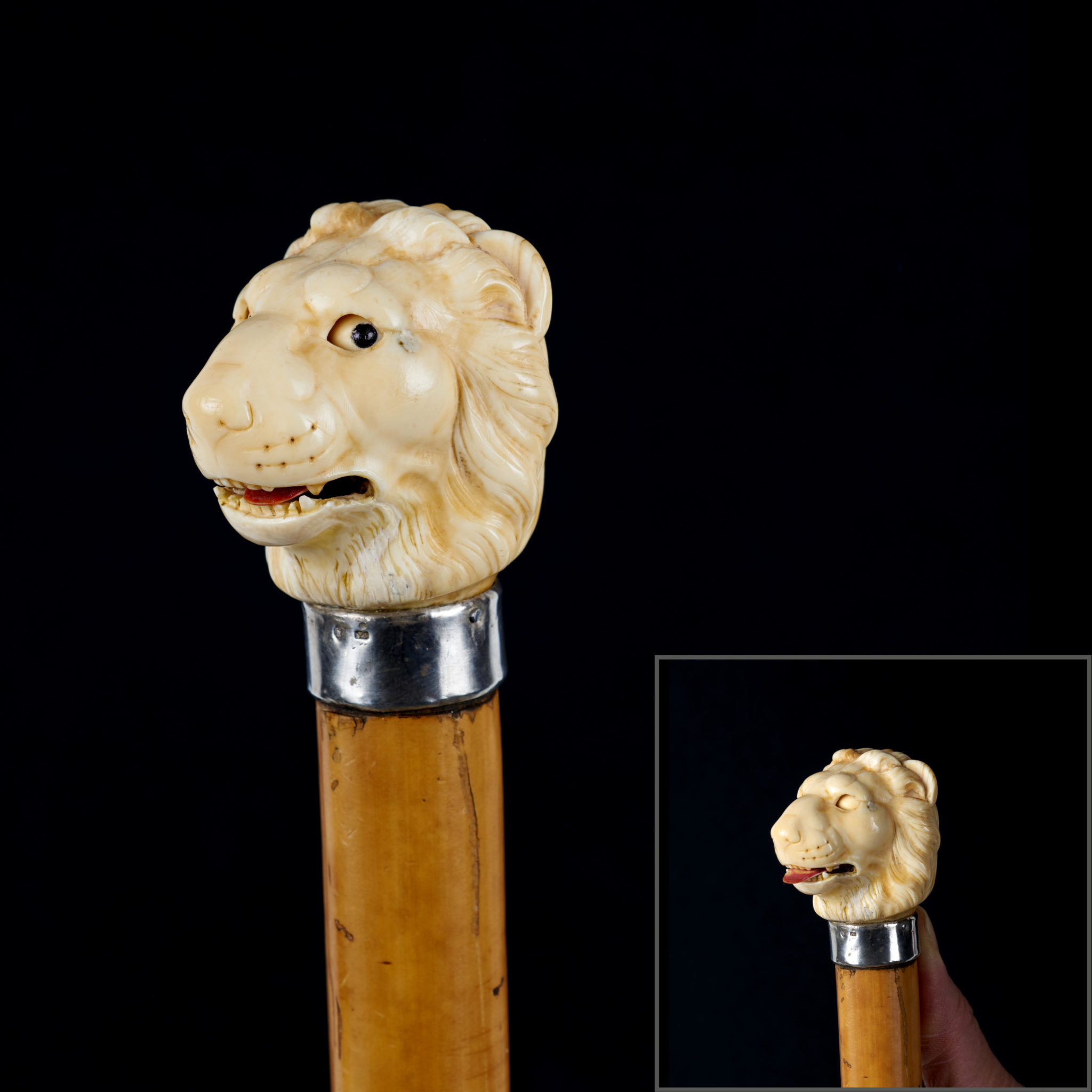 Canne à tête de lion automate en ivoire